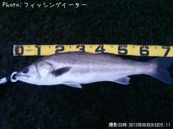 �����Х�