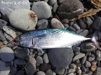 �ҥ饽����