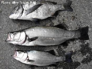 �ҥ饹����������