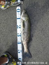 �����Х�