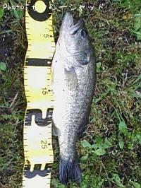 ¥Ö¥é¥Ã¥¯¥Ð¥¹