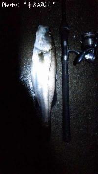 �����Х�