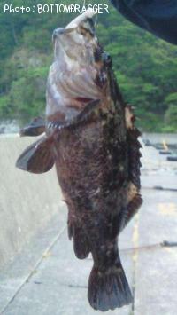 �����Υ���Х�