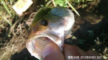 ¥Ö¥é¥Ã¥¯¥Ð¥¹