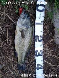 �֥�å��Х�