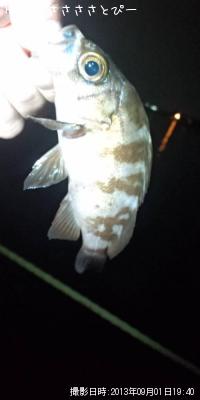 ���ꥢ��Х�