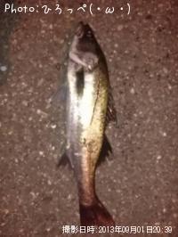 �����Х�