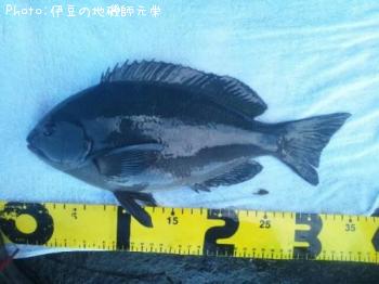 �����᥸��