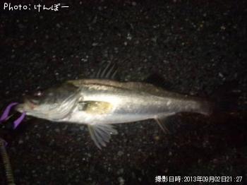 �����Х�