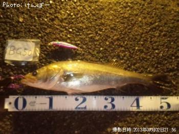 �����Х�