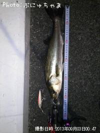 �����Х�