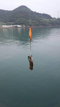 �����ꥤ��