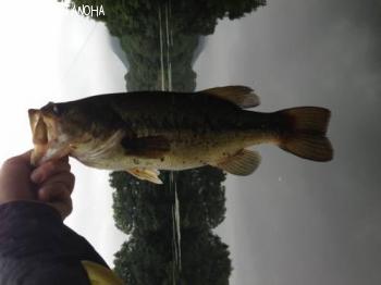 ¥Ö¥é¥Ã¥¯¥Ð¥¹