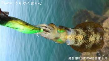 �����ꥤ��