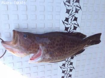 ¥ª¥ª¥â¥ó¥Ï¥¿