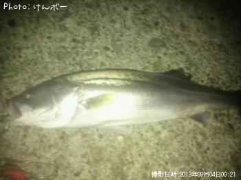 �����Х�