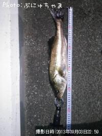 �����Х�