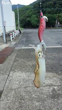 �����ꥤ��