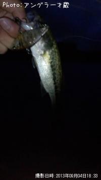 ¥Ö¥é¥Ã¥¯¥Ð¥¹