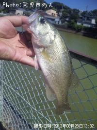 �֥�å��Х�