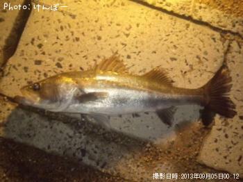 �����Х�