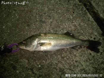 �����Х�