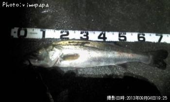 �����Х�