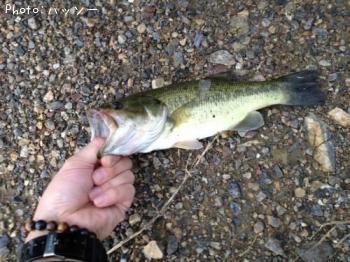 �֥�å��Х�