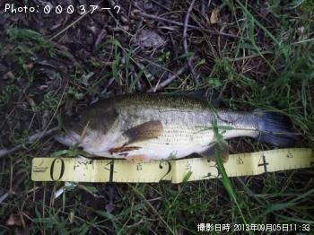 �֥�å��Х�