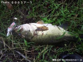 �֥�å��Х�