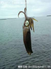 �����ꥤ��