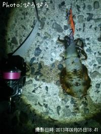 �����ꥤ��