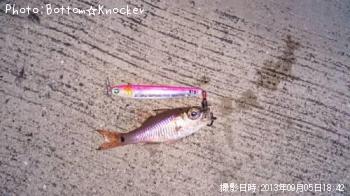 �ͥ�֥ĥ���