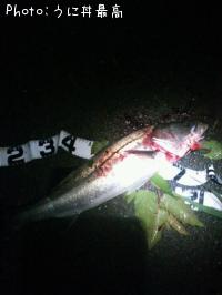 �����Х�