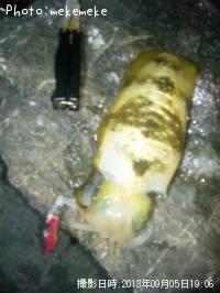 �����ꥤ��