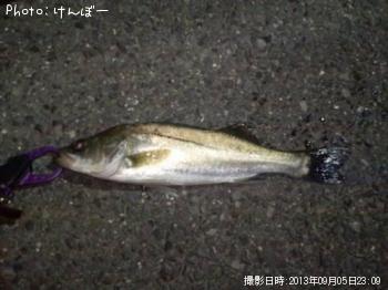 �����Х�