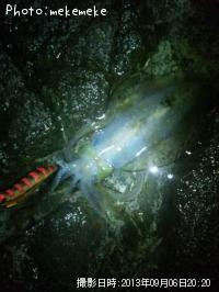 �����ꥤ��