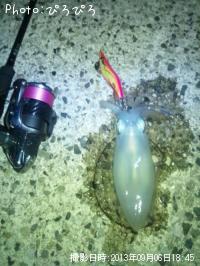 �����ꥤ��