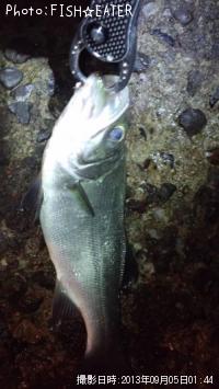 �����Х�