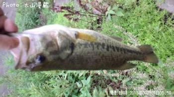 ¥Ö¥é¥Ã¥¯¥Ð¥¹