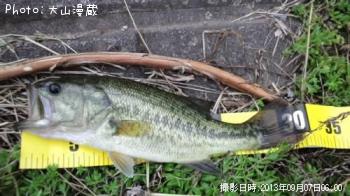 ¥Ö¥é¥Ã¥¯¥Ð¥¹