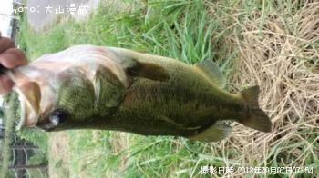 �֥�å��Х�