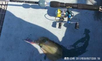 �����ꥤ��