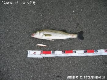 �����Х�