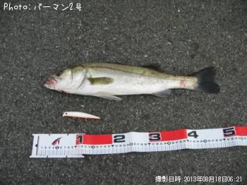 �����Х�