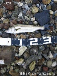 �����Х�