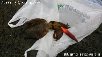 �����ꥤ��