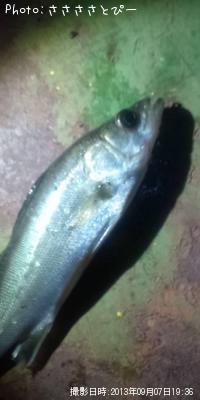 �����Х�