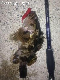 �����Υ���Х�