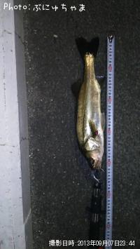 �����Х�